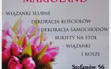 Marioland �elech�w